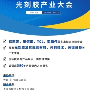 【倒计时3天】一张图了解“2021势银光刻胶产业大会”